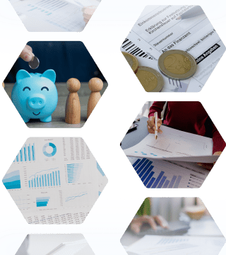 Polygone mit Bildern Steueroptimierung, Sparschwein, Statistiken, Geld